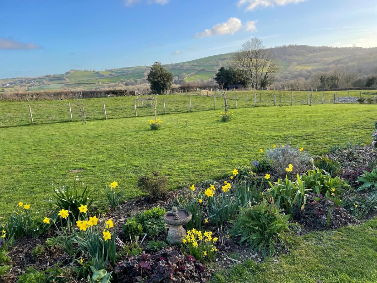 בקפסטלי Westerley Country B & B With Exclusive Guest Lounge מראה חיצוני תמונה